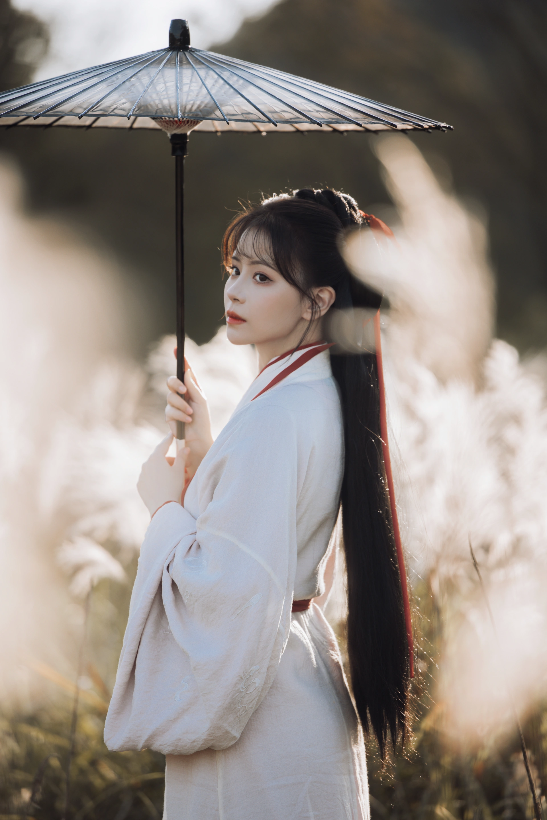 [YITUYU艺图语]2023.12.20 蒹葭苍苍 公子不坏 2