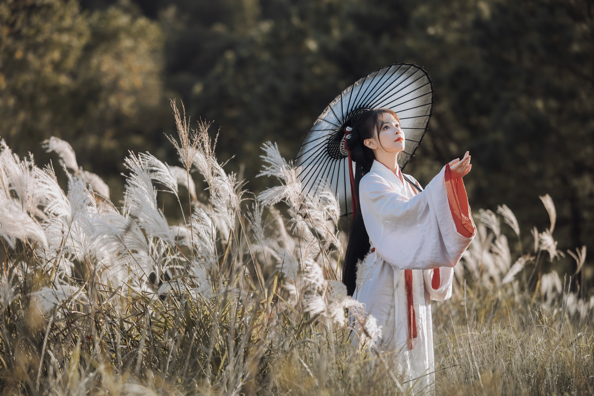 [YITUYU艺图语]2023.12.20 蒹葭苍苍 公子不坏 3